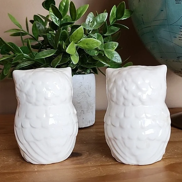 Owl Salt And Pepper Shaker Set - Picture 3 of 5